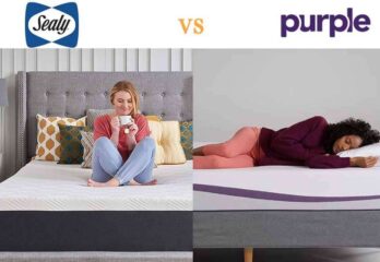 purple mattress vs sealy