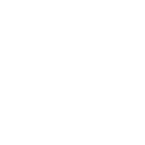 Duck & Goose