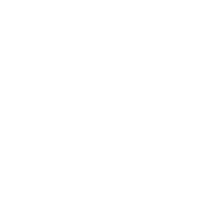 leesa
